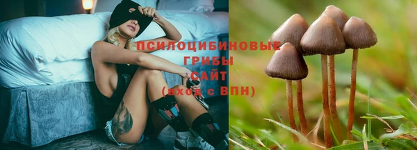 спайс Армянск