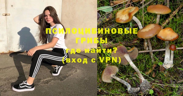 Альфа ПВП Алексеевка