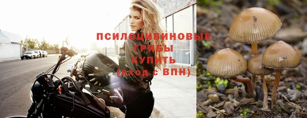 мет Арсеньев