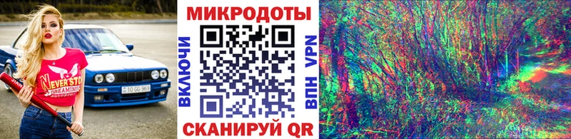 Псилоцибиновые грибы Cubensis Бологое