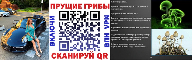 купить  сайты  Бологое  Галлюциногенные грибы ЛСД 